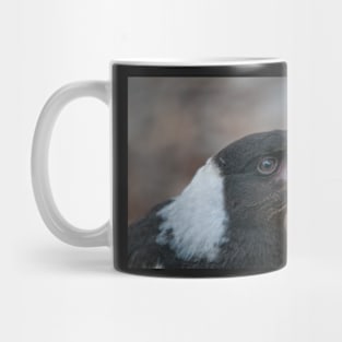 Baby Magpie 2 Mug